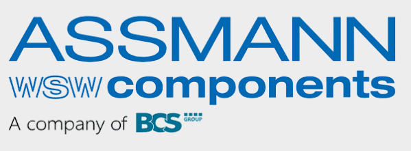 ASSMANN WSW-31内图.png