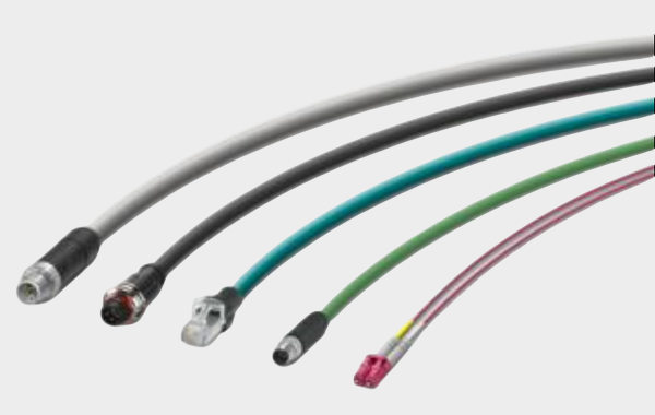 Phoenix Mecano (12).png