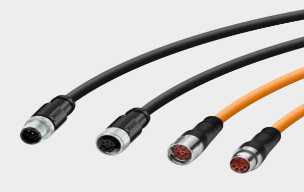 Phoenix Mecano (14).png