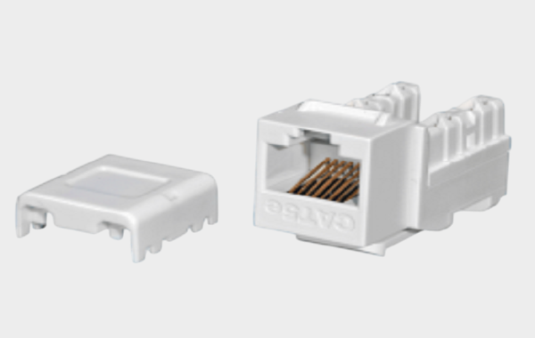 SP International (15).png