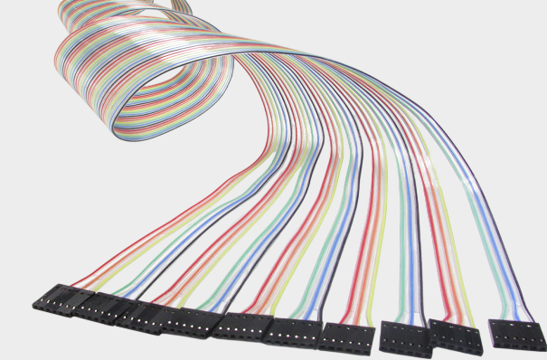 1766115504497819.png Cicoil (12).png