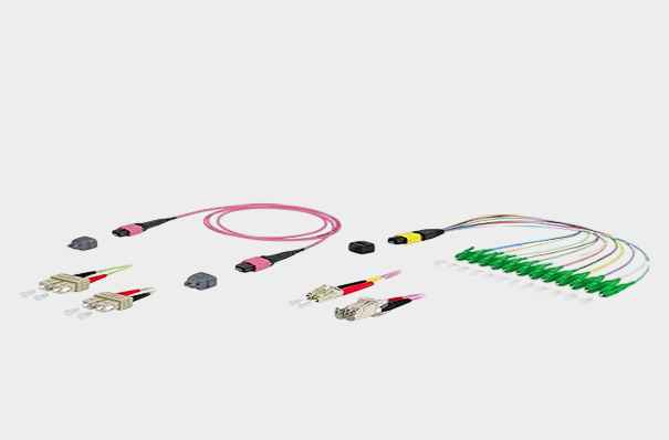 1768013249552970.png METZ CONNECT USA Inc (11).png